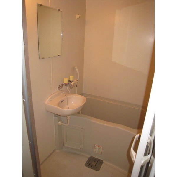 コスモピア金山 風呂画像