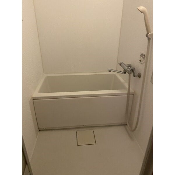 ライオンズマンション新栄 風呂画像