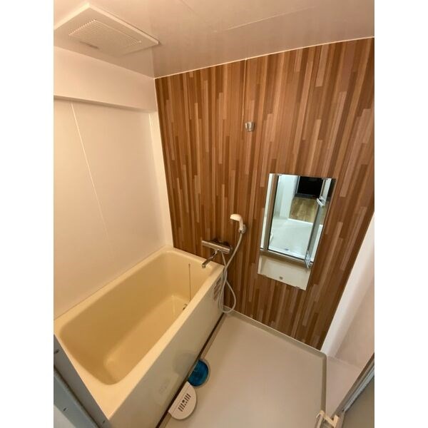 シャトーマスヒコ 風呂画像