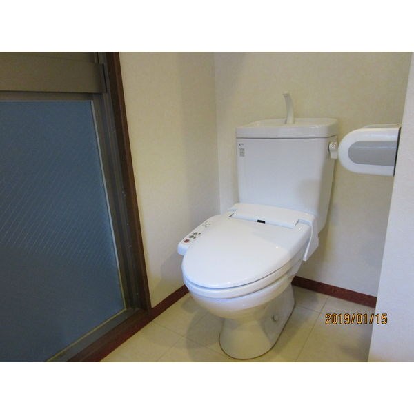 サンシャイン錦 その他2