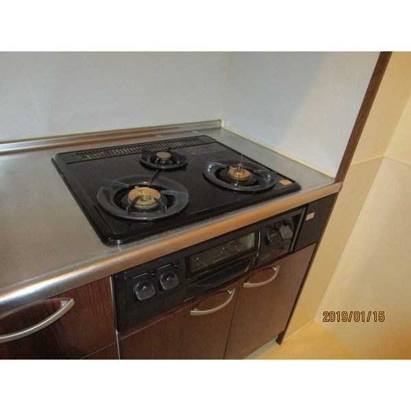 サンシャイン錦 その他4