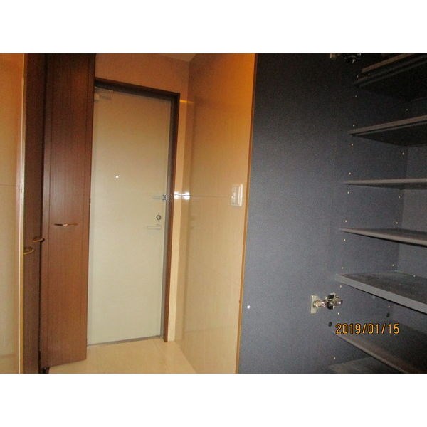 サンシャイン錦 その他5