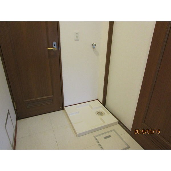 サンシャイン錦 その他6