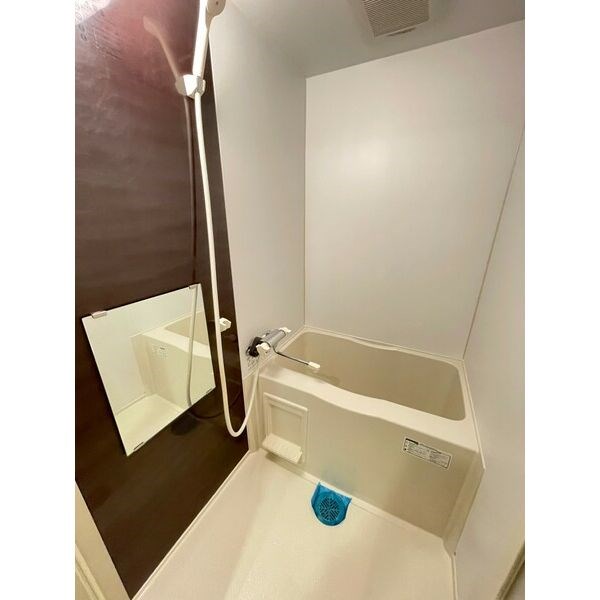 Annex CoCo 風呂画像