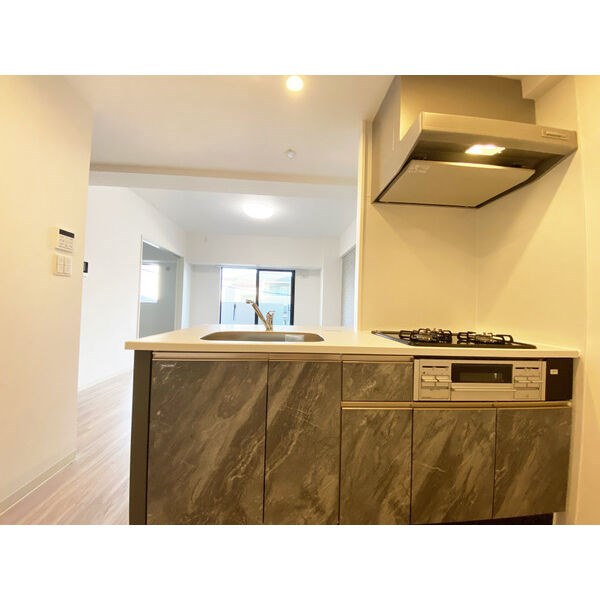 ウルフィエスタ徳川 キッチン