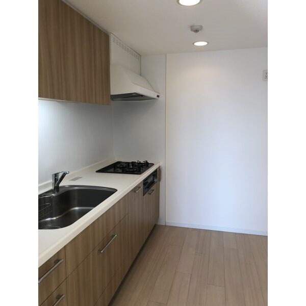 カスタリア伏見 キッチン