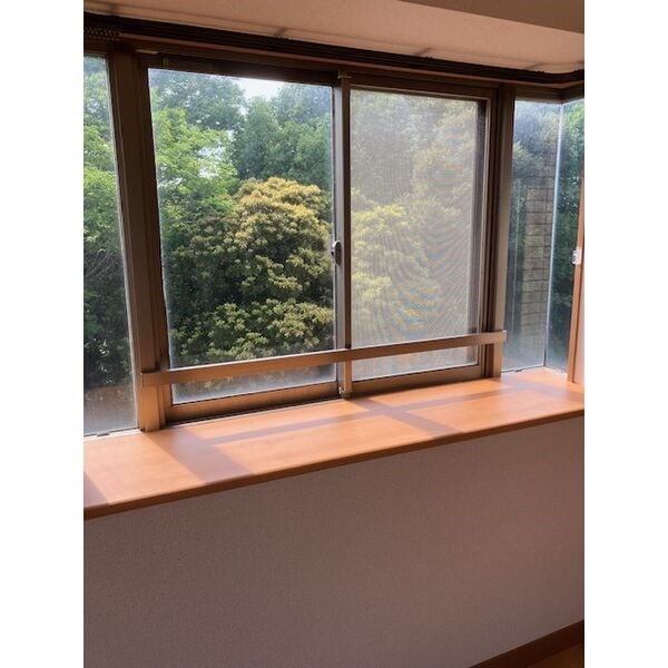 ルミナス山手 ベランダ