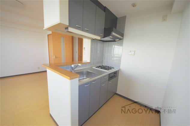 ライフステージ白壁Ⅱ その他11