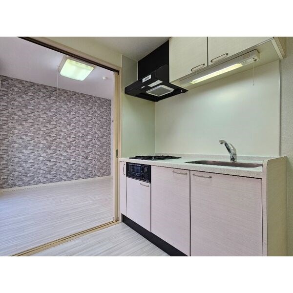 パルテールゴキソ キッチン