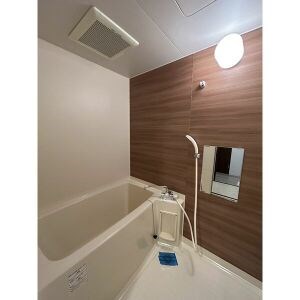 ＳｔｕｄｉｏＤＵＯ1252 風呂画像