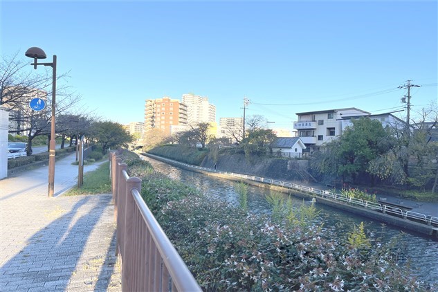 メゾン黒川 その他外観4