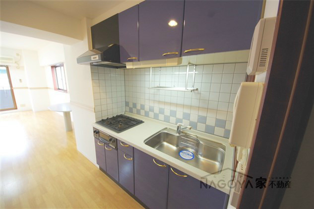 ライジング泉コートⅡ キッチン