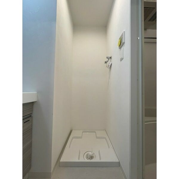 パルティール金山 その他4