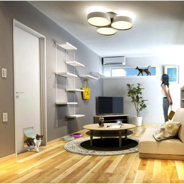 Katze志賀本通南 玄関