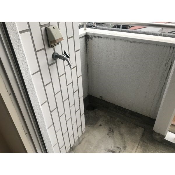 Casa de Feline その他2