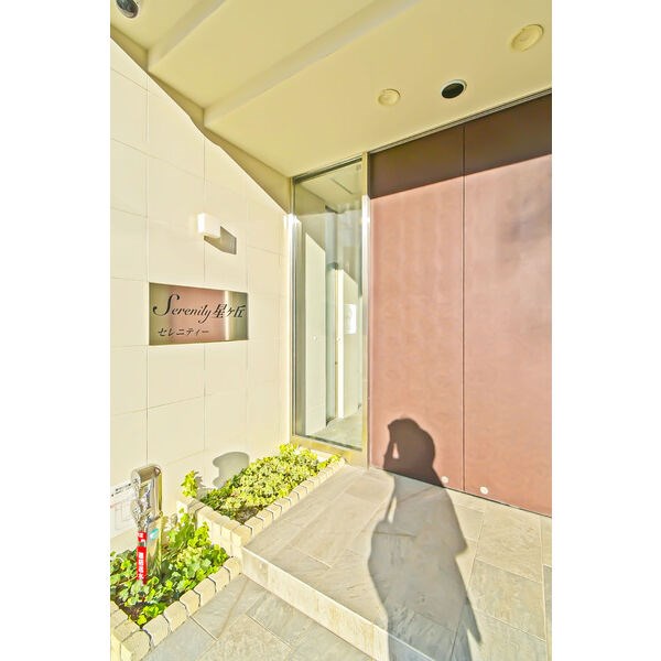 セレニティー星ヶ丘 その他外観1