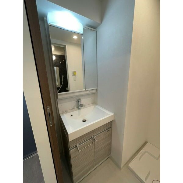 パルティール金山 その他2