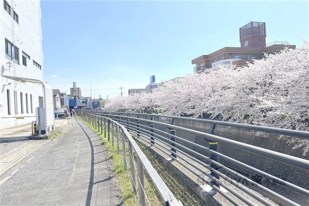 リバーサイドテラス石川橋 その他外観5