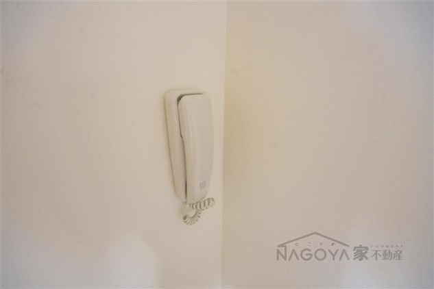 カーサソロチョウ その他1