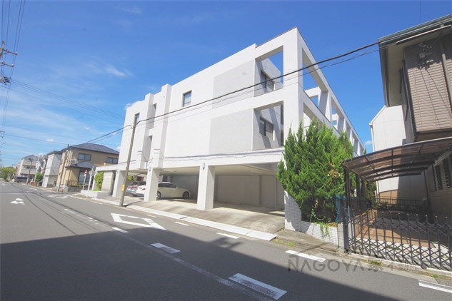 カーサソロチョウ その他外観1