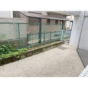 カーサソロチョウ ベランダ