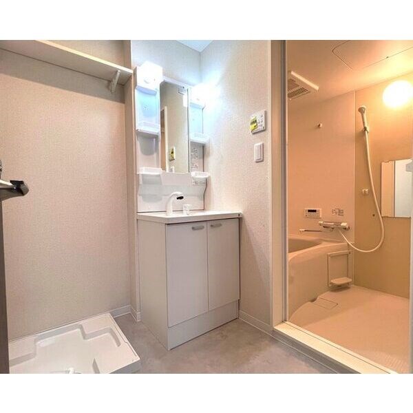 FSネコテラス その他2