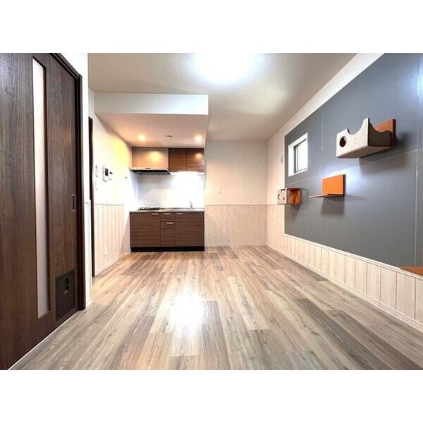 FSネコテラス キッチン