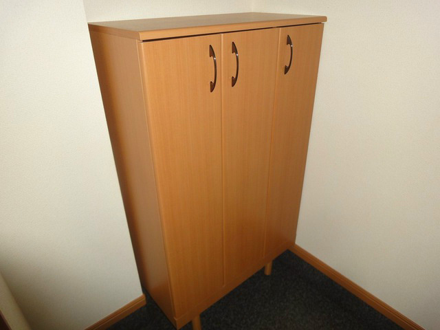 アンベリールM その他6