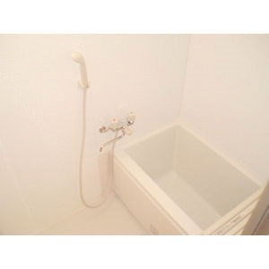 ヴェルドミール志賀 風呂画像