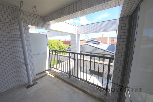 カーサソロチョウ その他3