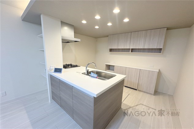 瑞穂区春山町戸建B棟 その他19