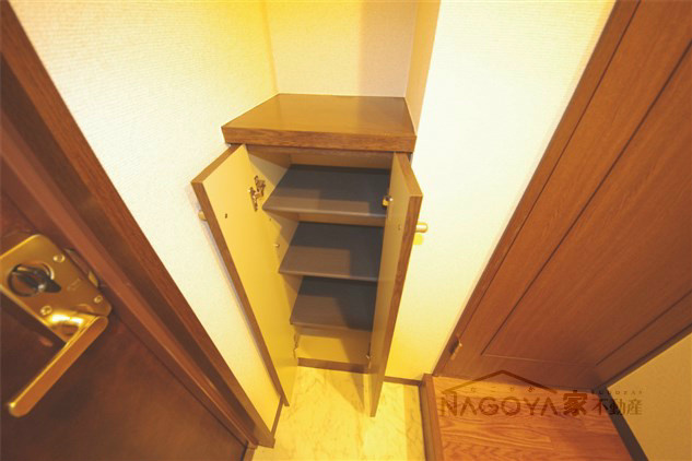 Rosa Candore その他2