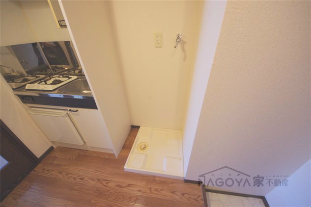 Rosa Candore その他4