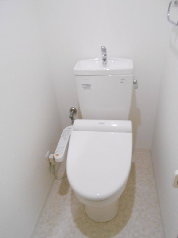 アモンリオブランシュ その他2