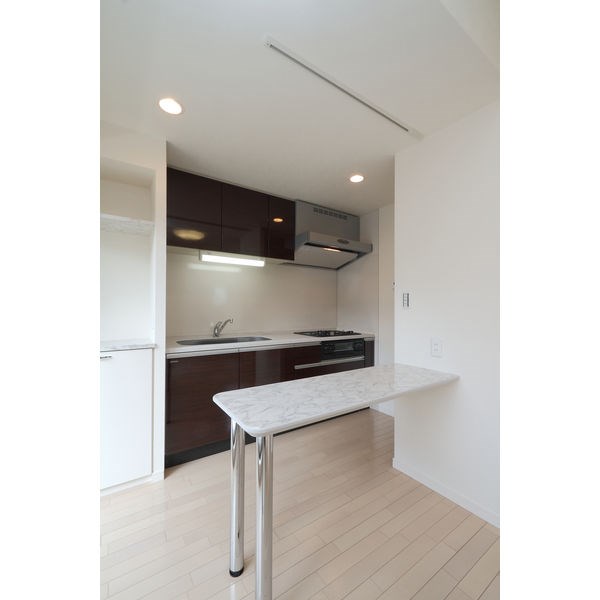 SALT515 キッチン