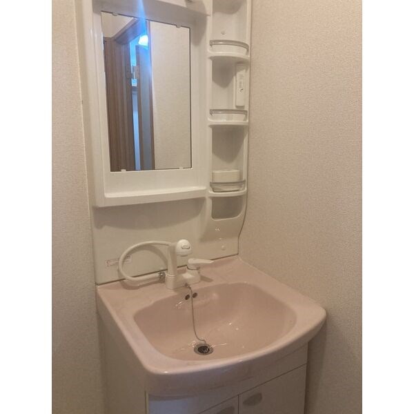 プリミエールモアグリーン その他2