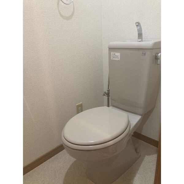 プリミエールモアグリーン その他3