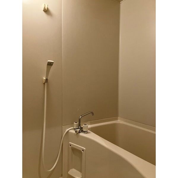 現代ハウス黄金 風呂画像