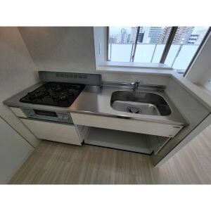 RAFFLE　OZONEⅡ－South　Garden－ キッチン