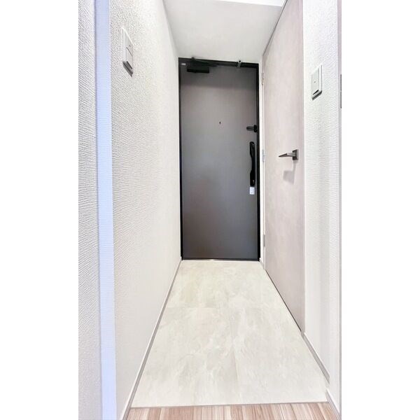 S-RESIDENCE堀田駅前futur 玄関