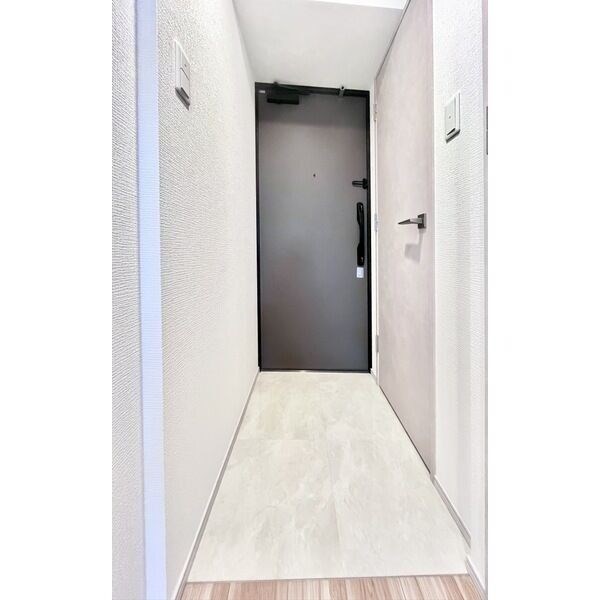 S-RESIDENCE堀田駅前futur 玄関