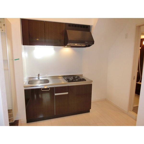 Venus-Ⅲ キッチン