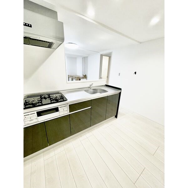 名古屋駅西新築メゾネット戸建 キッチン