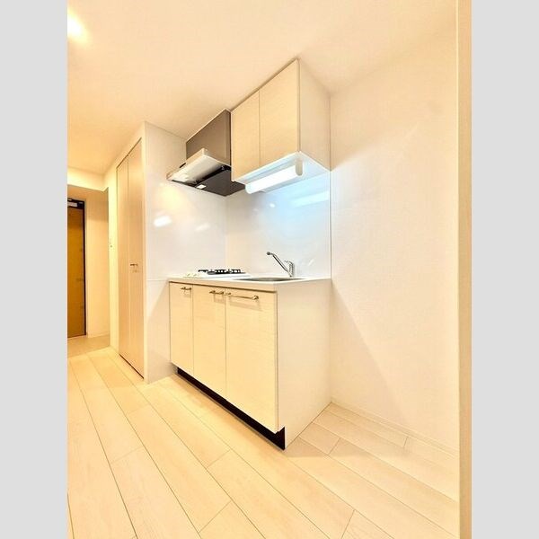 エスリード金山ル・グラン キッチン