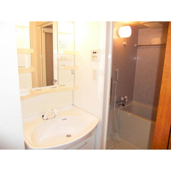 レーベスト平安 その他1