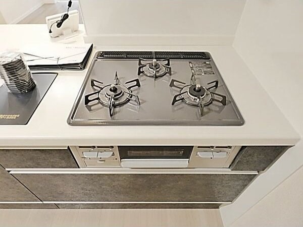 フェリシアガーデン その他2