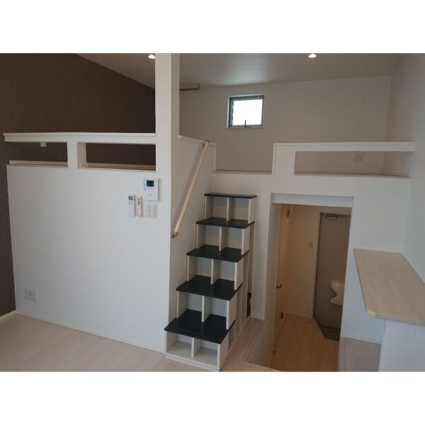 Manta ray その他5