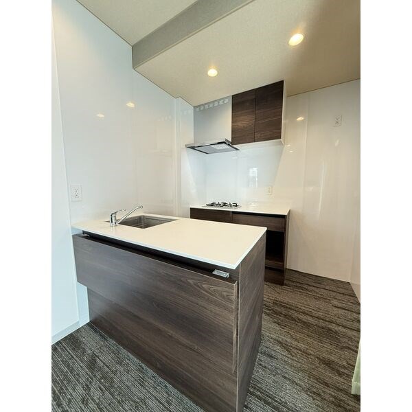 ドルフィンコートIKESHITA キッチン