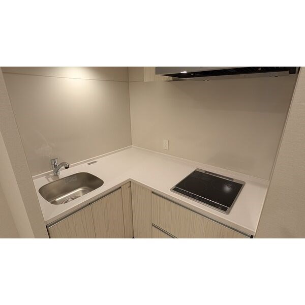 ザ・レジデンスパーク栄 キッチン