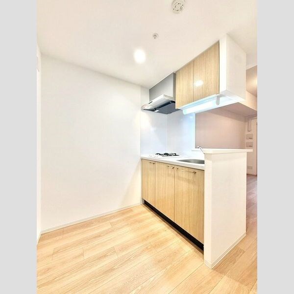 エスリード名古屋サザンプレイス キッチン